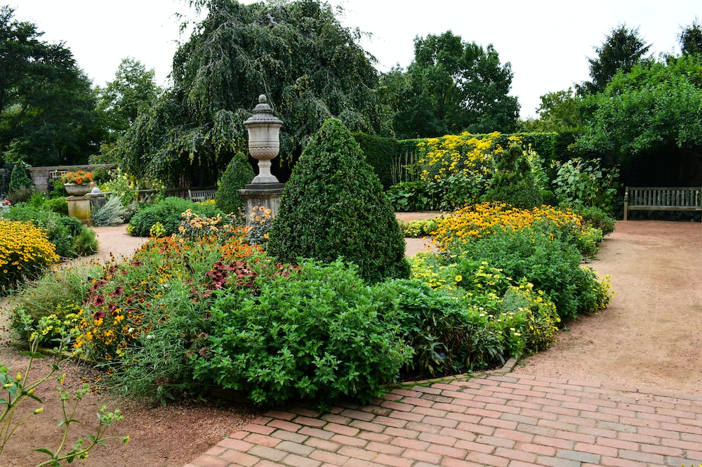 Creative Landscaping Ideas with Dwarf Thuja Trees