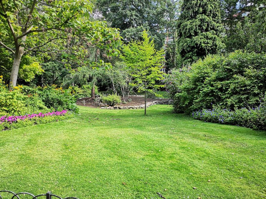 8 Ways To Make Your Backyard More Private With Landscaping Techniques