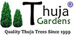 Thuja Green Giant & more ....